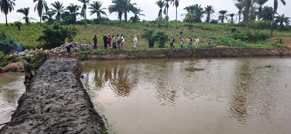 Pisciculture - Image 1