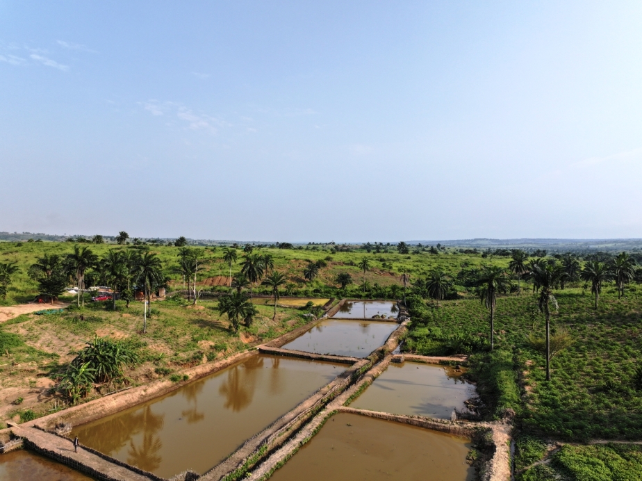 Pisciculture - Image 2