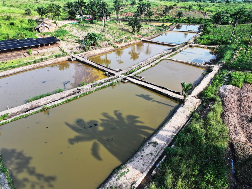 Pisciculture - Image 3
