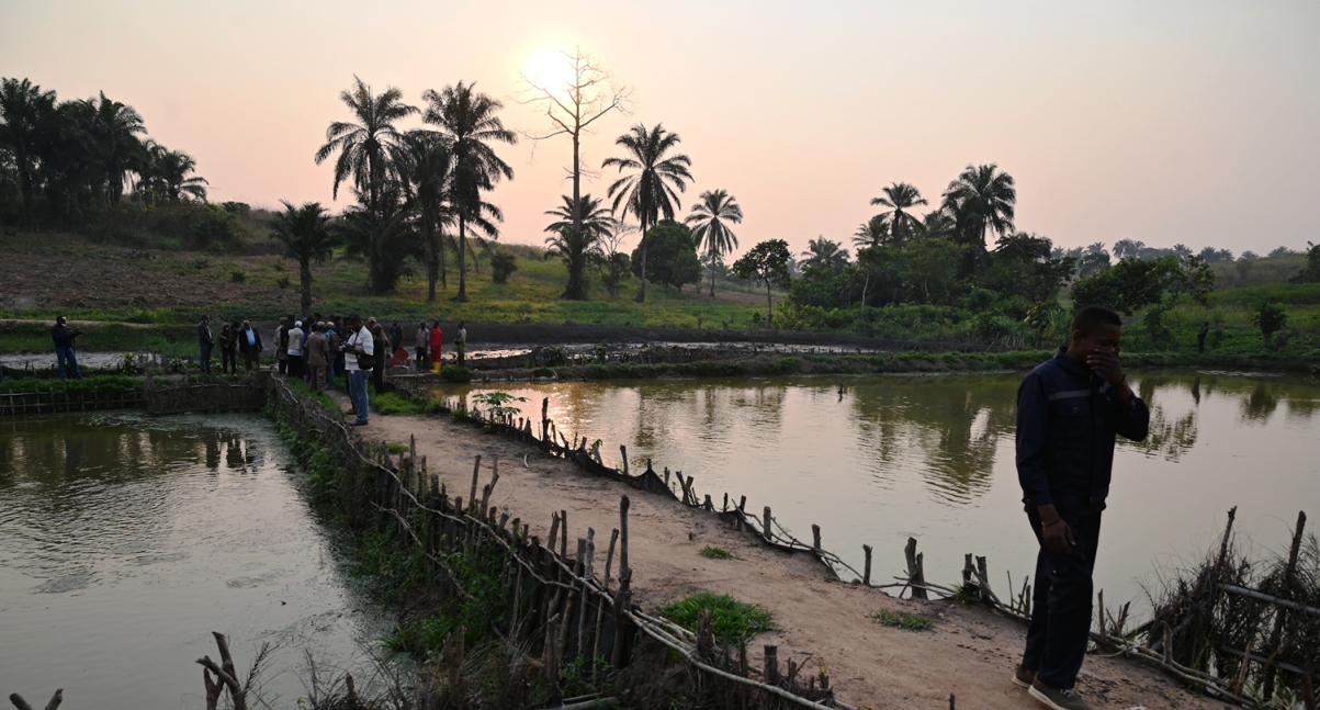 Des étangs qui s'etends à plus de 2h
